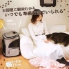 部屋に置いた時の様子(幅27㎝)