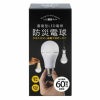 防災電球