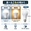 色、大きさ